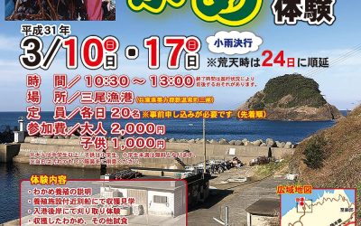 「養殖わかめ収獲体験」参加者大募集！