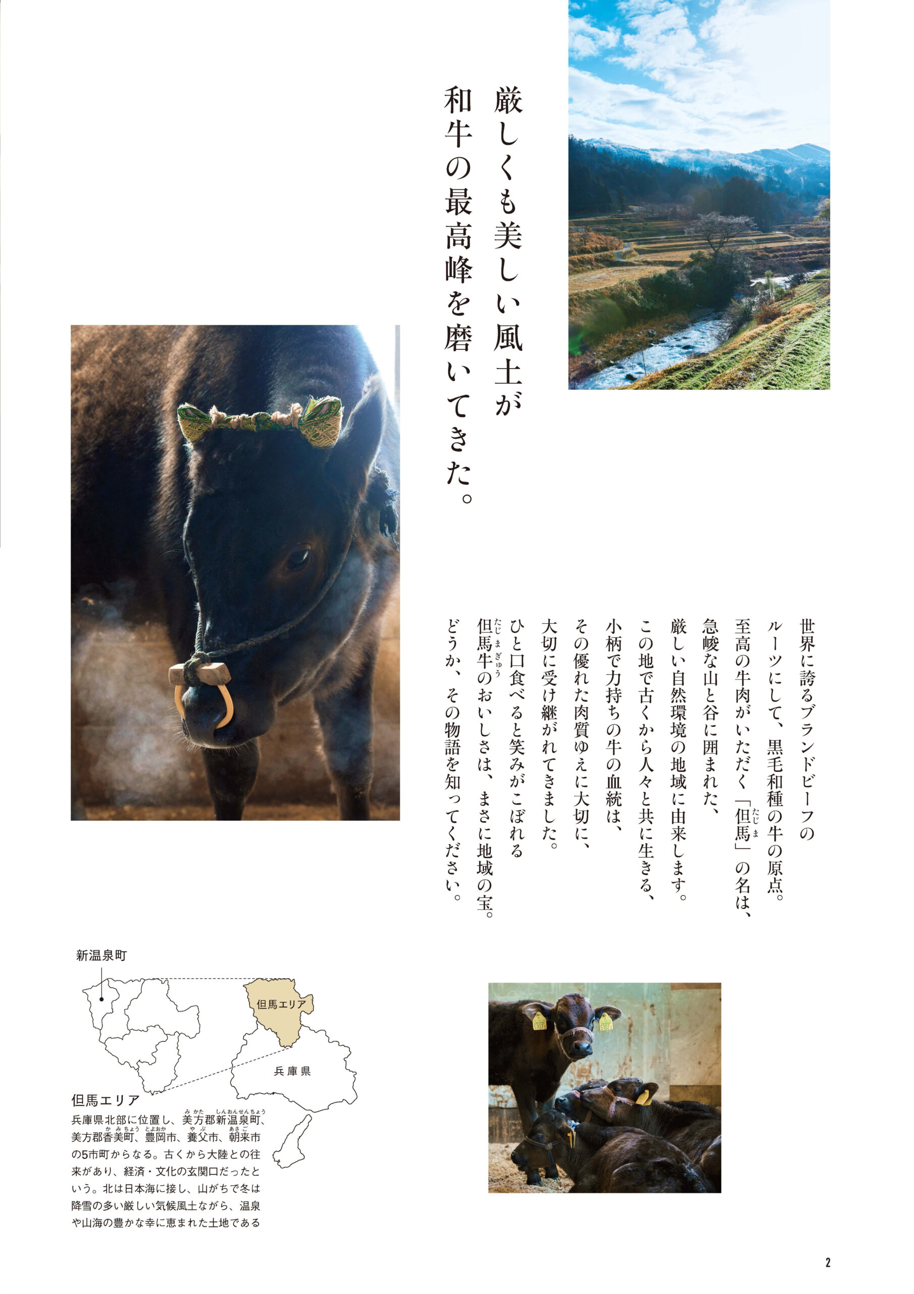 TAJIMA_GYU_Book02 【公式】浜坂観光協会ホームページ