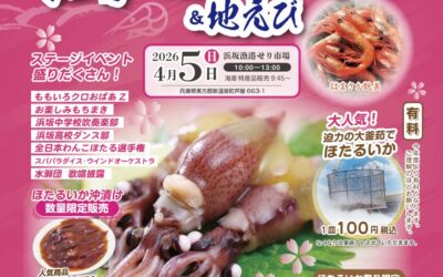 「第28回浜坂みなと ほたるいか祭り&地えび」のお知らせ